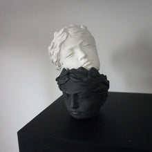 Įkelti vaizdą į galerijos rodinį, vazon lis ponia
